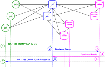 CNAM Transaction Flow &ndash; Remote Database