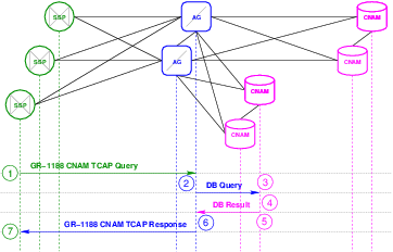 CNAM Transaction Flow &ndash; Locally Attached Database