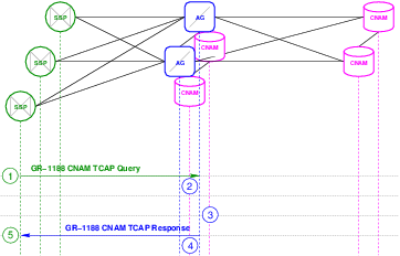 CNAM Transaction Flow &ndash; Integrated Database